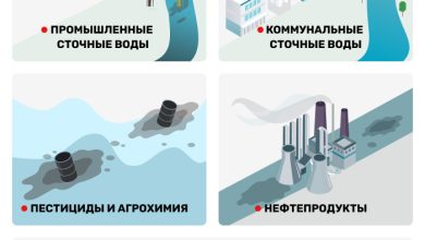 Photo of Уничтожение экосистемы реки