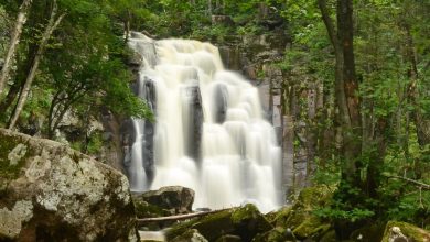 Photo of Водопады — источник вдохновения
