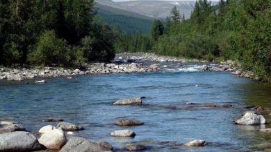 Photo of Очарование реки Харод