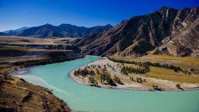 Photo of Экотуризм в национальных парках