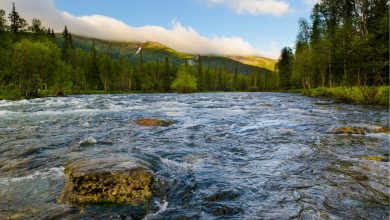 Photo of Лучшие места у реки Харод