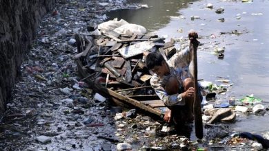 Photo of Засорение русла реки