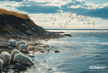 Photo of Приключения в заповедниках Харод