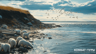 Photo of Приключения в заповедниках Харод