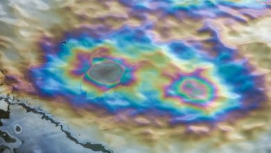 Photo of Разлив нефти в водоеме