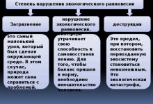 Photo of Нарушение природного баланса