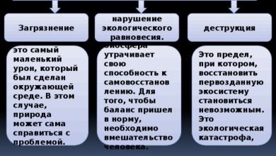Photo of Нарушение природного баланса