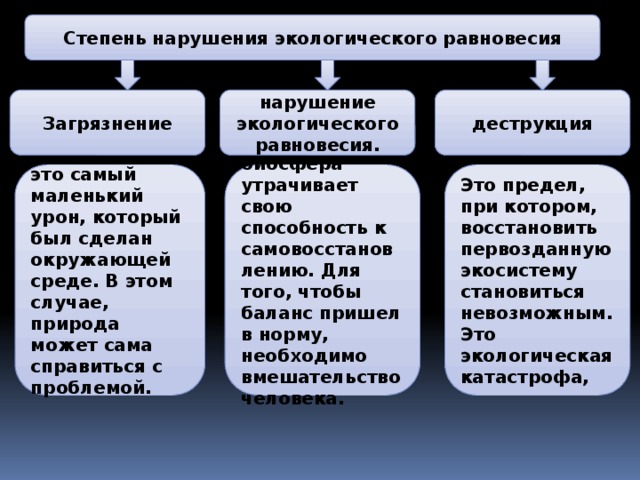 Фото 4 — Нарушение природного баланса