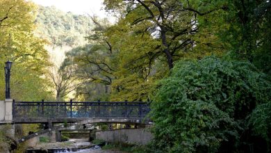 Photo of Удивительные парки реки Харод