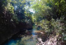 Photo of Таинственные каскады реки