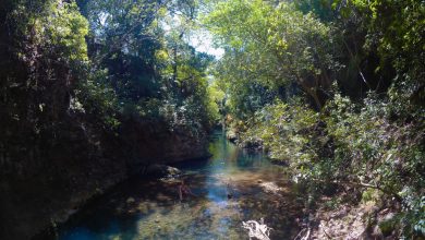 Photo of Таинственные каскады реки