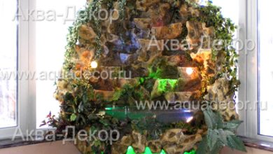 Photo of Скрытые уголки водопадов